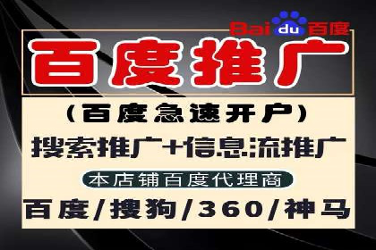 SEM推广策略：成功案例分享与启示